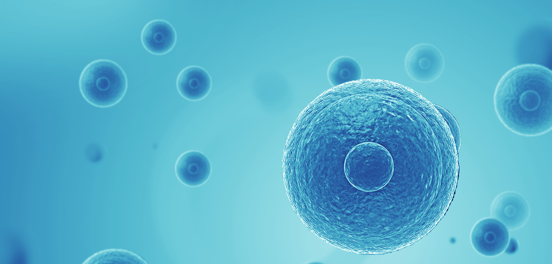 以患者需求為核心，驅(qū)動(dòng)細(xì)胞免疫治療創(chuàng)新，實(shí)現(xiàn)癌癥可控化并最終治愈。